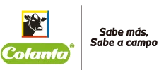 logo_header